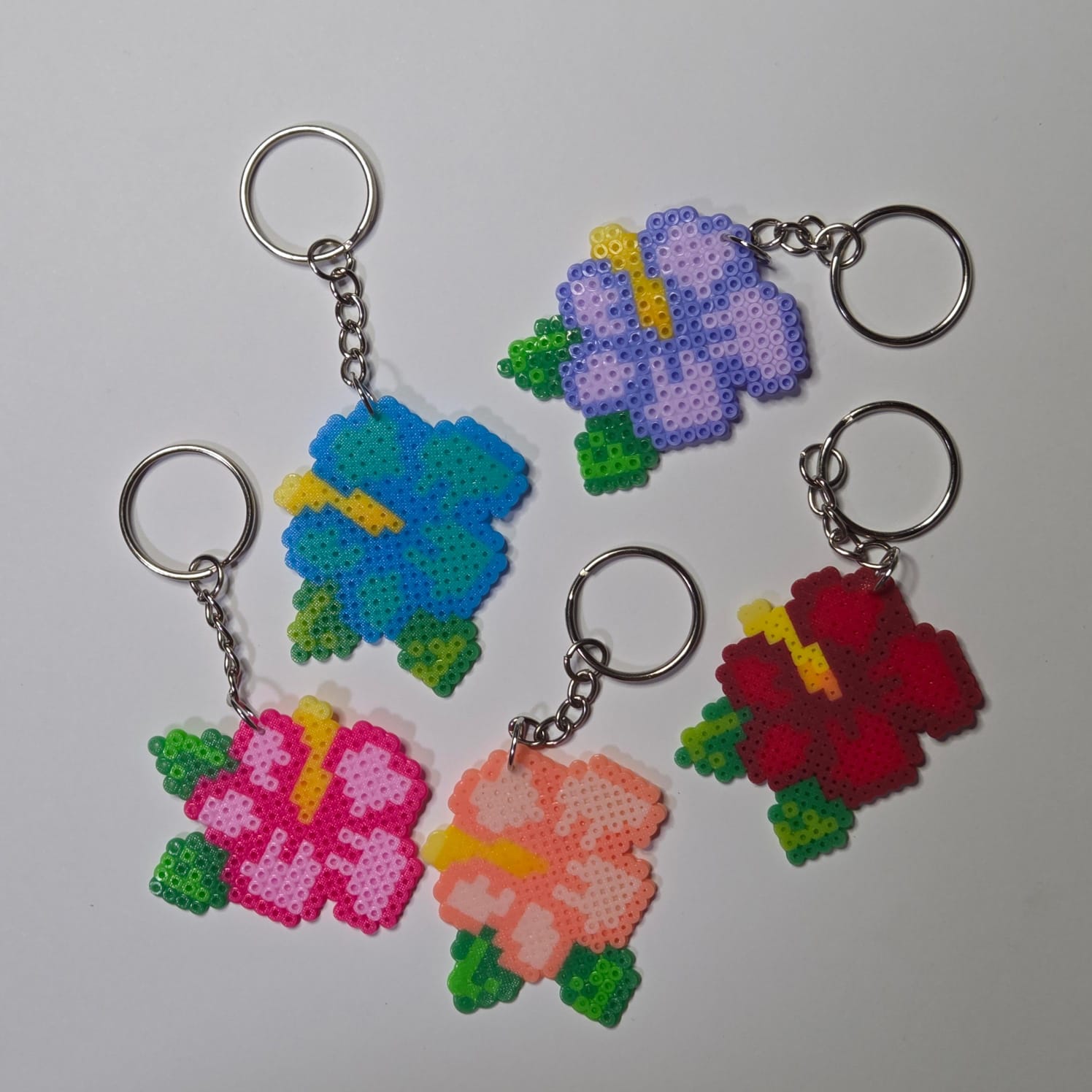 Colecci&oacute;n Flores